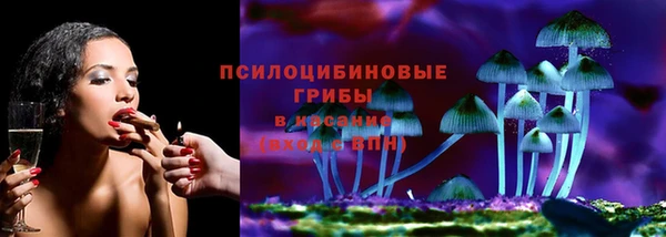 молекула духа Осташков