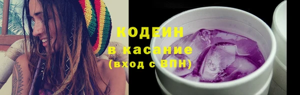 молекула духа Осташков