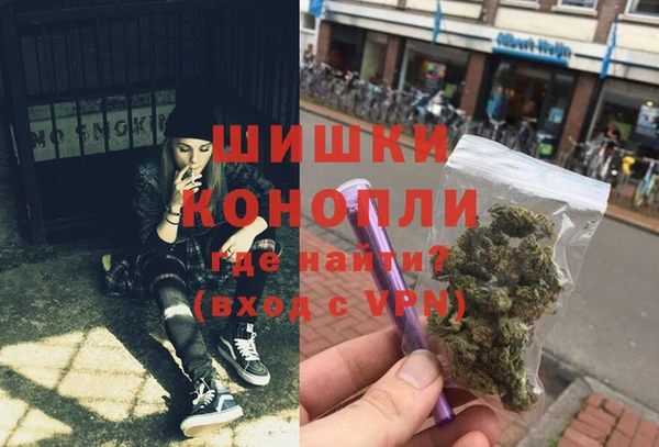 молекула духа Осташков