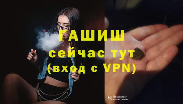 молекула духа Осташков
