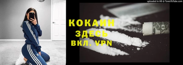 молекула духа Осташков
