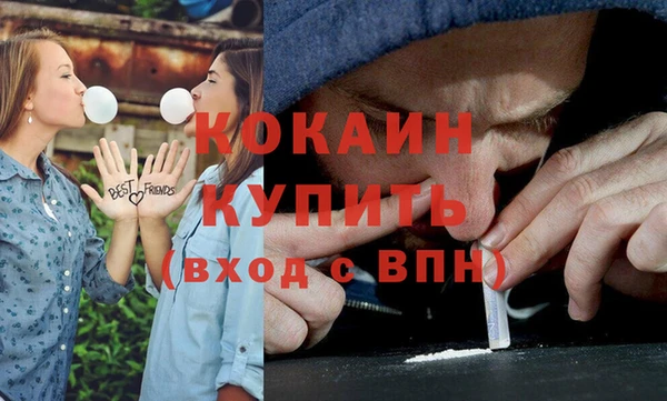 молекула духа Осташков