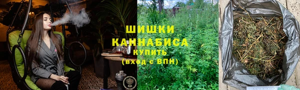 молекула духа Осташков