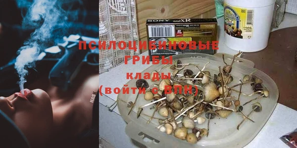 мяу мяу мука Остров