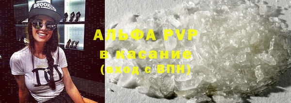 молекула духа Осташков