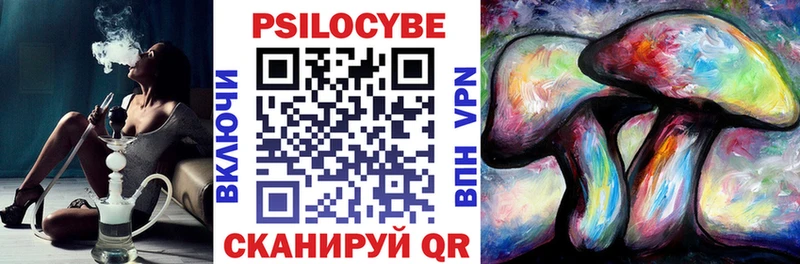 кракен tor Набережные Челны Галлюциногенные грибы Psilocybe