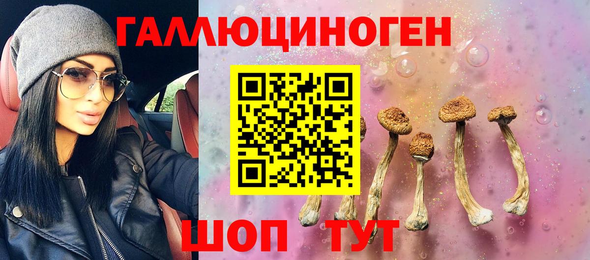 Набережные Челны  Псилоцибиновые грибы Psilocybine cubensis  Вход с VPN 