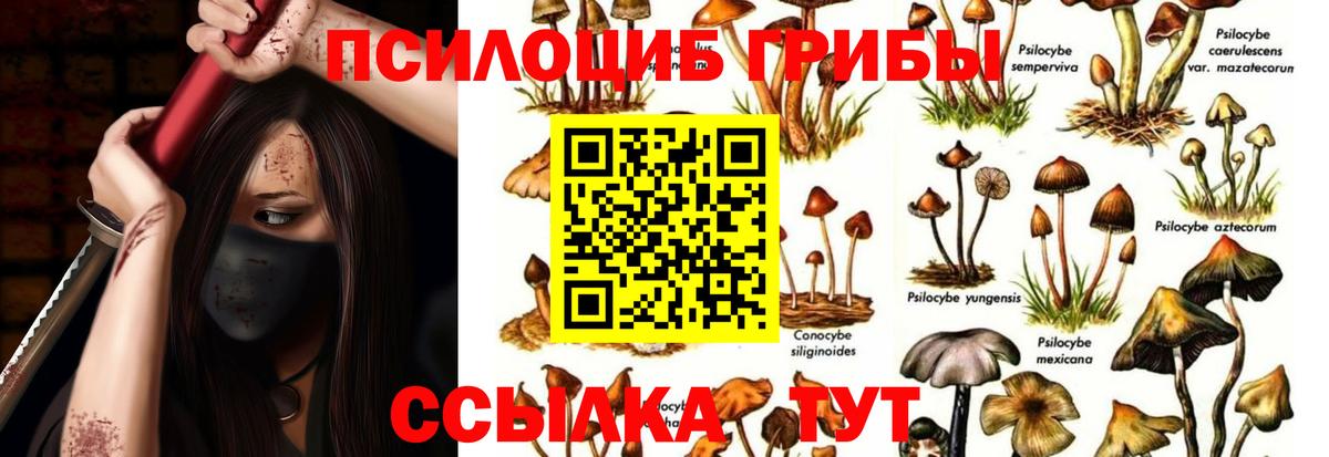 Псилоцибиновые грибы ЛСД Набережные Челны